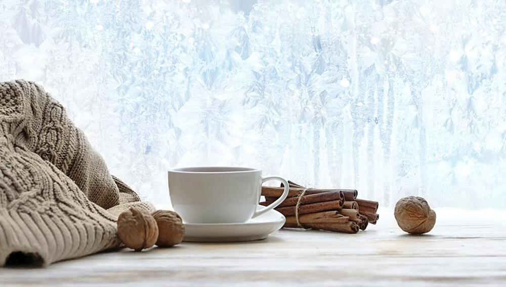 Congés de fin d'année : Votre cabinet d'expertise comptable à Cannes prend une pause bien méritée